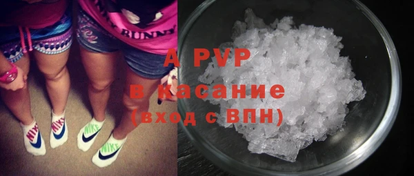 стаф Алзамай