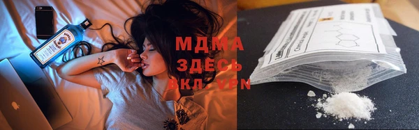 стаф Алзамай