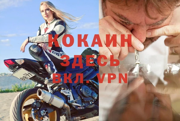 стаф Алзамай