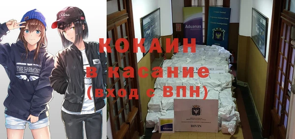 стаф Алзамай