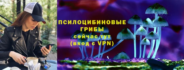 круглые Алексеевка